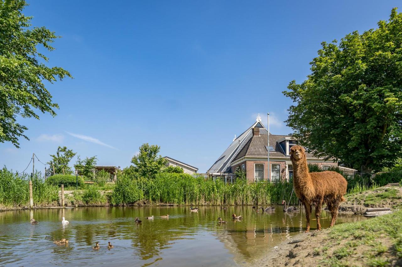 Recreatieboerderij Hoeve Noordveld Oude Bildtzijl Eksteriør billede